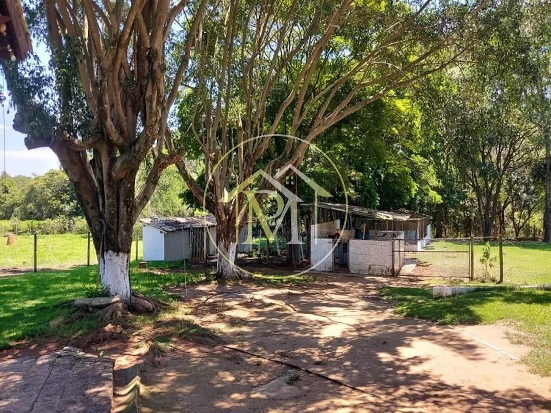 Sítio, 5 quartos, 6 hectares - Foto 10