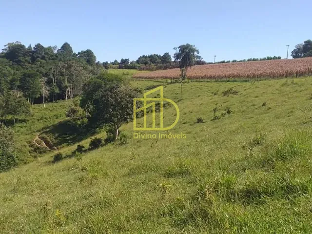 Sítio com 82280m², à venda, no bairro Vila Creso Fraga Moreira (Cohab II) em São Miguel Arcanjo