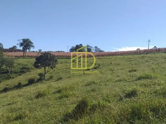 Sítio com 82280m², à venda, no bairro Vila Creso Fraga Moreira (Cohab II) em São Miguel Arcanjo