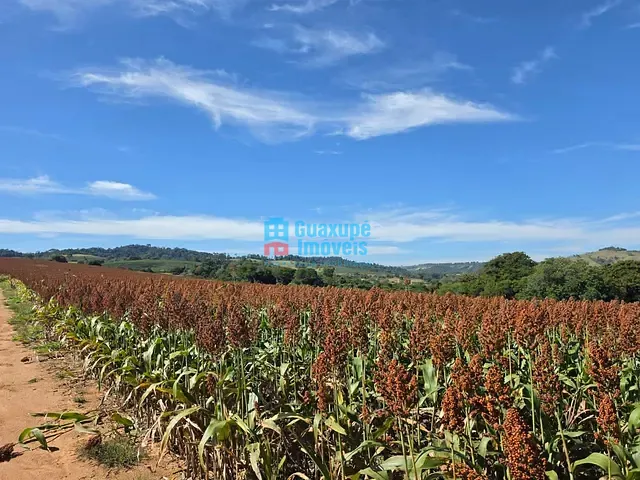 Sítio com 72600000m² 2 quartos e 1 banheiro, à venda, no bairro centro em Guaxupé