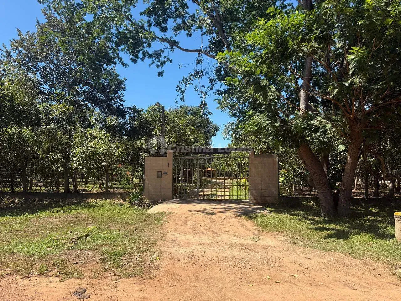 Sítio, 4 quartos, 3 hectares - Foto 2