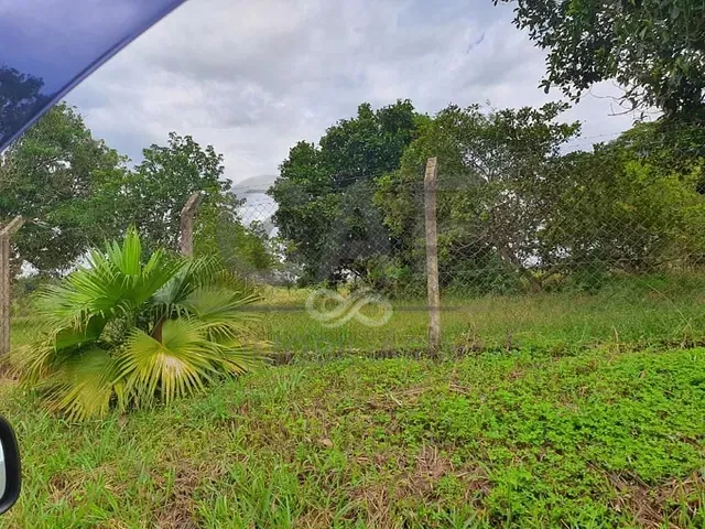 Sítio com 21000m², à venda, no bairro Pinhalzinho em Jaguariúna