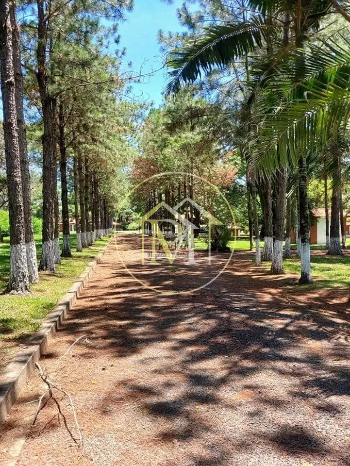 Chácara, 3 quartos, 2 hectares - Foto 1