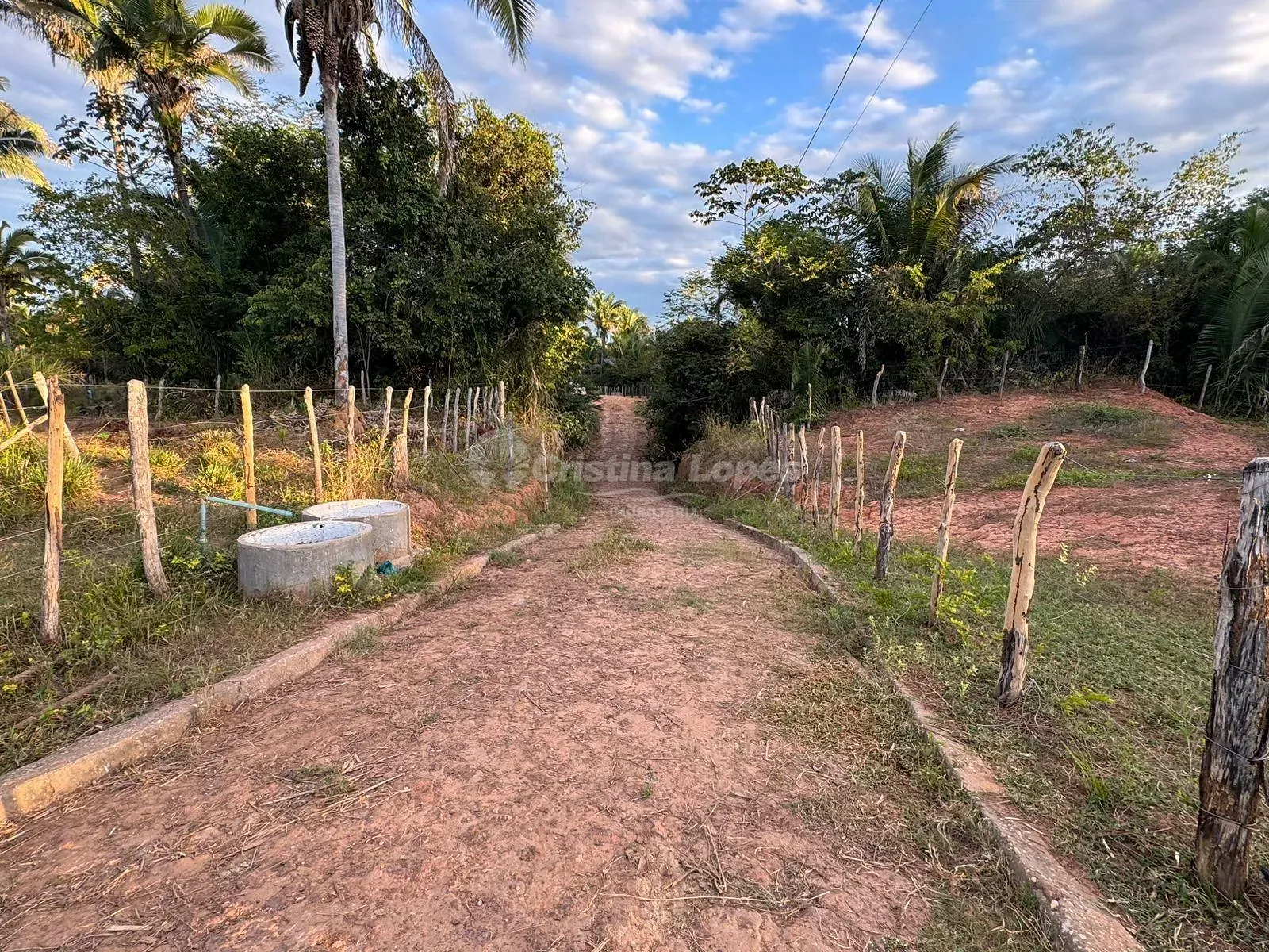 Sítio, 3 quartos, 8 hectares - Foto 6