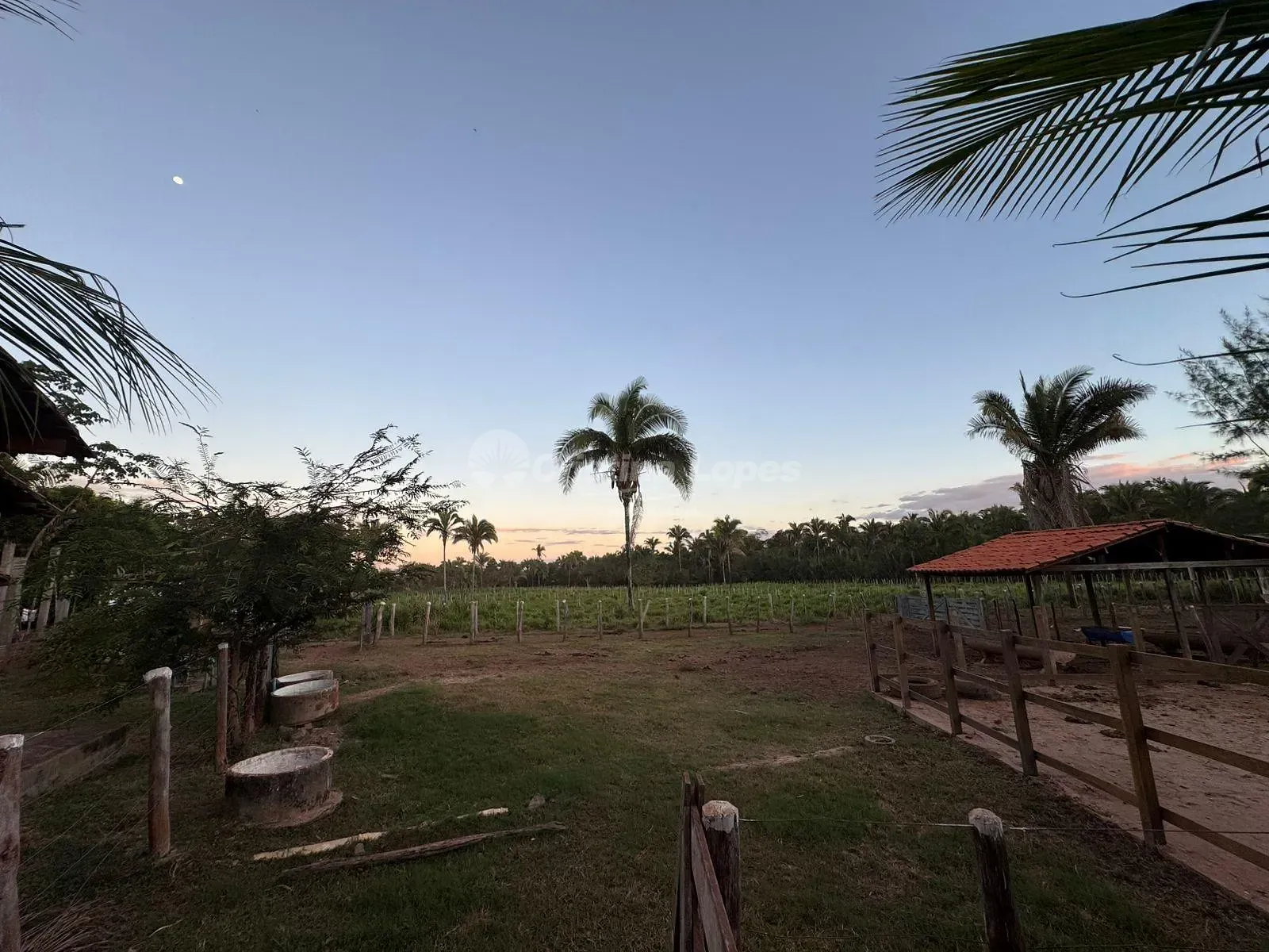 Sítio, 3 quartos, 8 hectares - Foto 11
