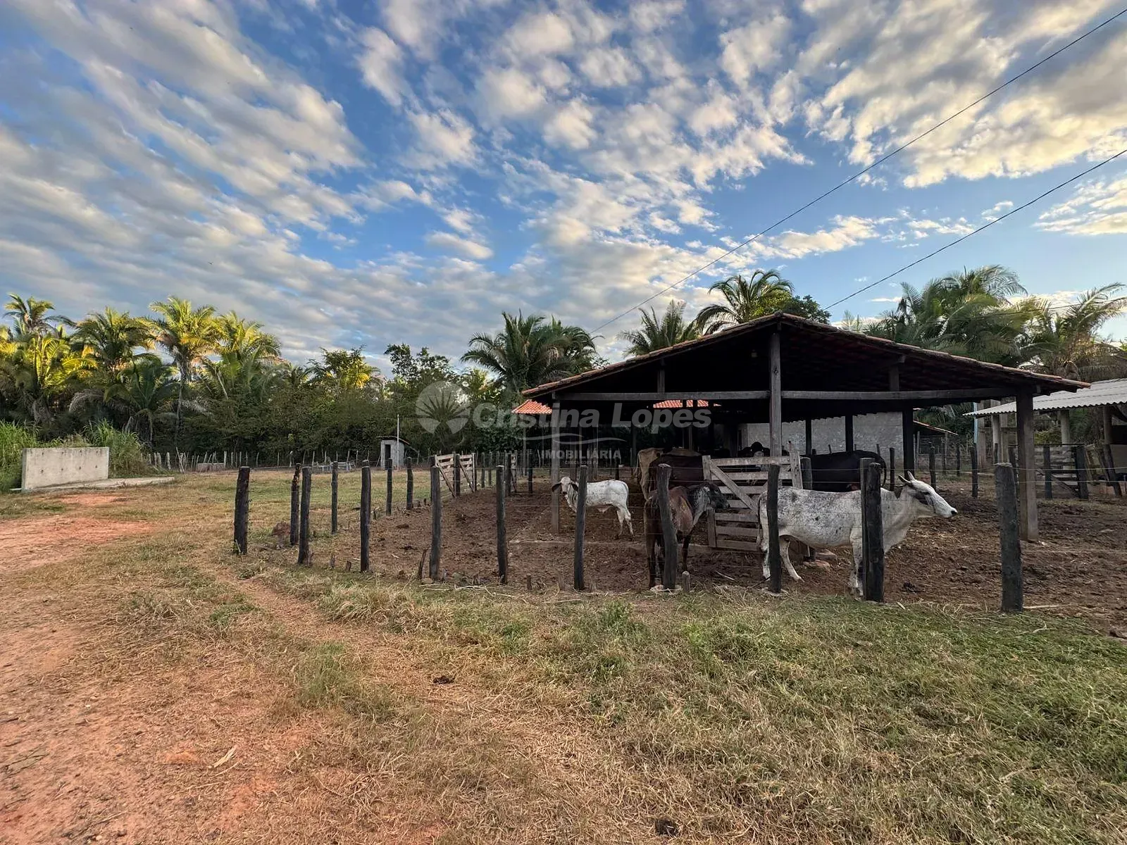 Sítio, 3 quartos, 8 hectares - Foto 12