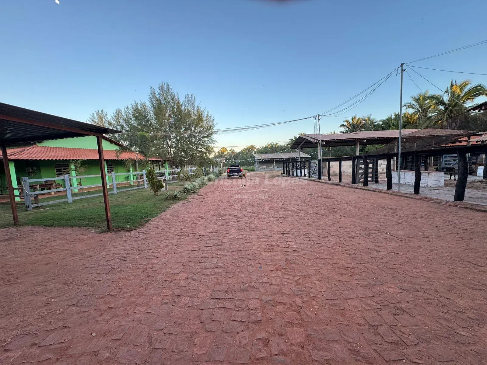 Sítio, 3 quartos, 8 hectares - Foto 3