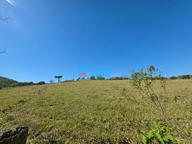 Sítio com 33000m² 2 quartos e 1 banheiro, à venda, no bairro Vila Campanha em Guaxupé