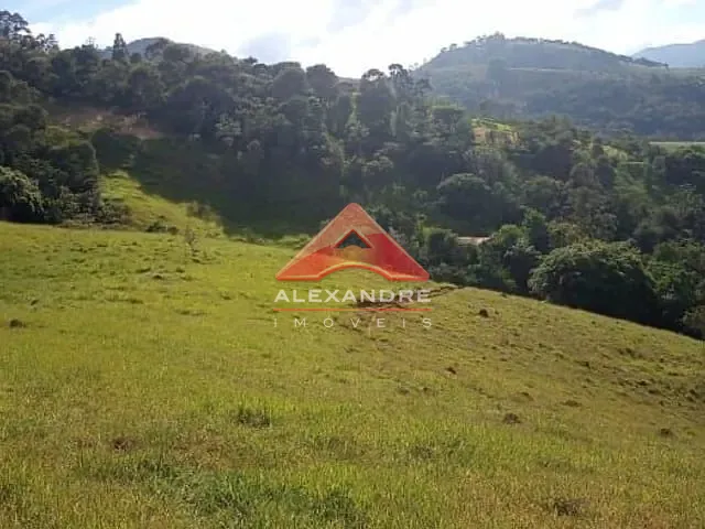 Sítio com 86280m² 4 quartos e 2 banheiros, à venda, no bairro Roncador em São Francisco Xavier