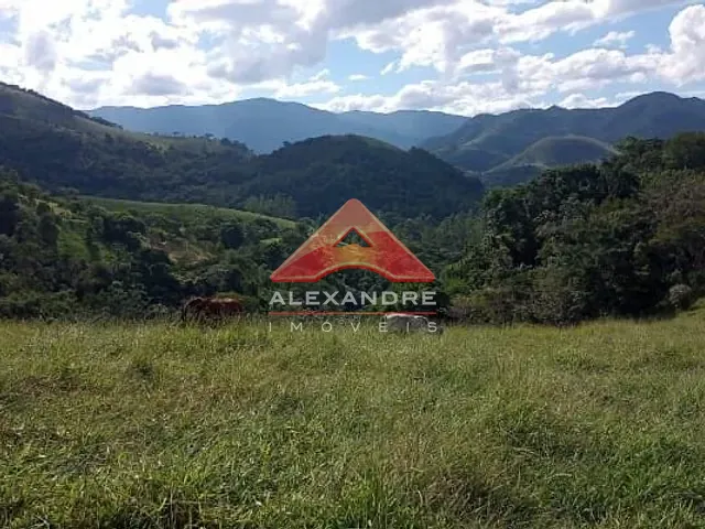 Sítio com 86280m² 4 quartos e 2 banheiros, à venda, no bairro Roncador em São Francisco Xavier