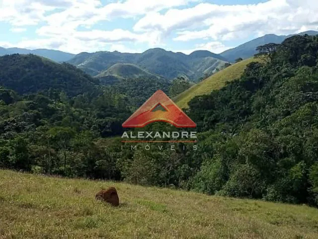 Sítio com 86280m² 4 quartos e 2 banheiros, à venda, no bairro Roncador em São Francisco Xavier