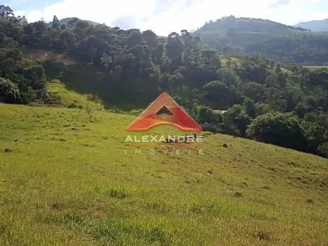 Sítio com 86280m² 4 quartos e 2 banheiros, à venda, no bairro Roncador em São Francisco Xavier