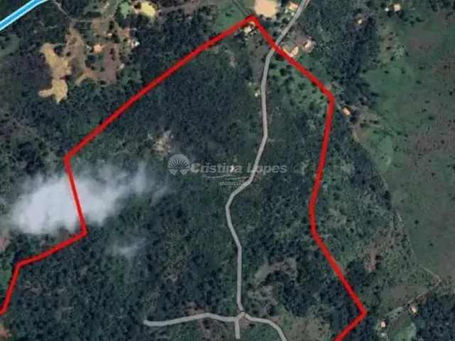 Sítio com 702000m² 4 quartos e 1 banheiro, à venda, no bairro Rural em Floriano