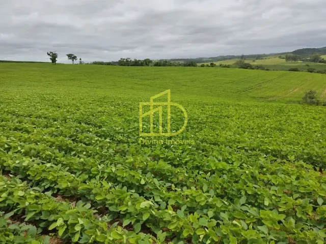 Sítio com 484000m², à venda, no bairro Centro em Pilar do Sul