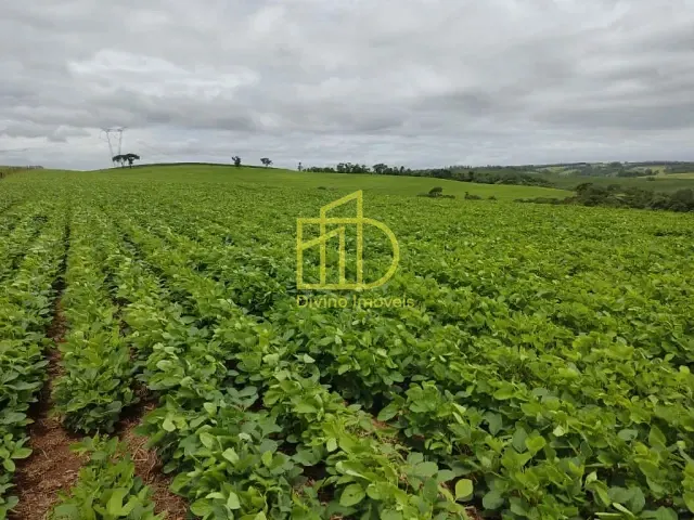 Sítio com 484000m², à venda, no bairro Centro em Pilar do Sul