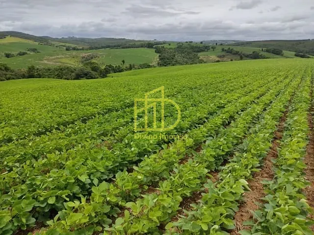 Sítio com 484000m², à venda, no bairro Centro em Pilar do Sul