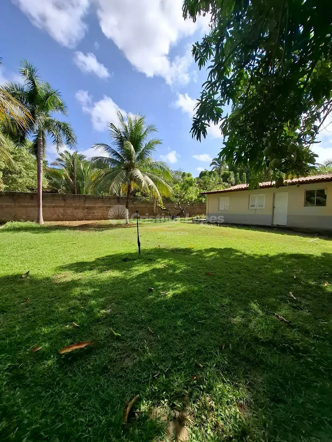 Fazenda, 1 hectares - Foto 8