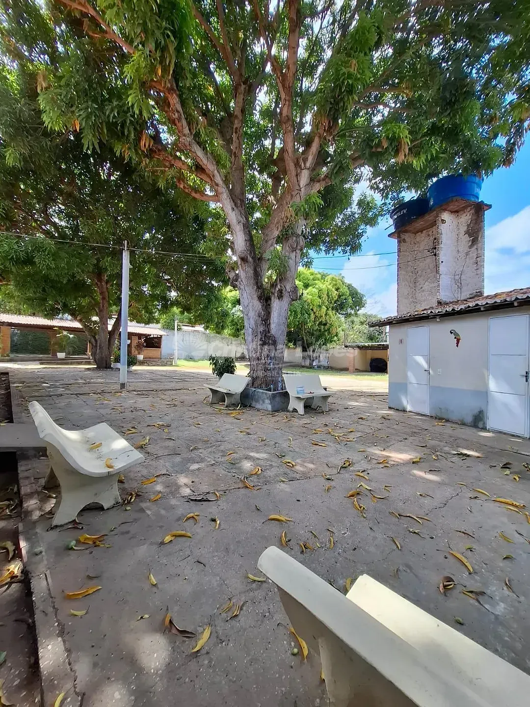 Fazenda, 1 hectares - Foto 4