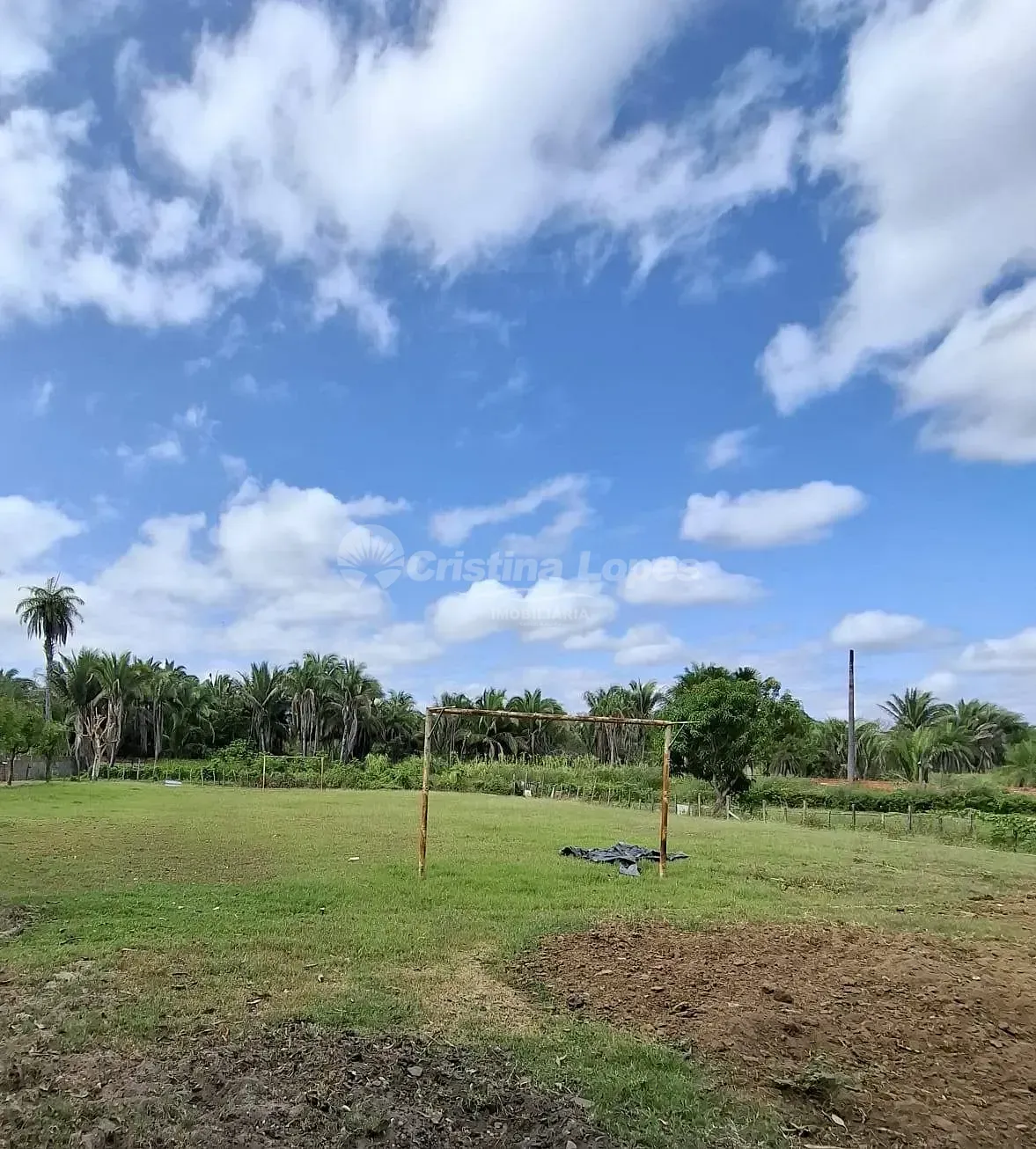 Fazenda, 1 hectares - Foto 6