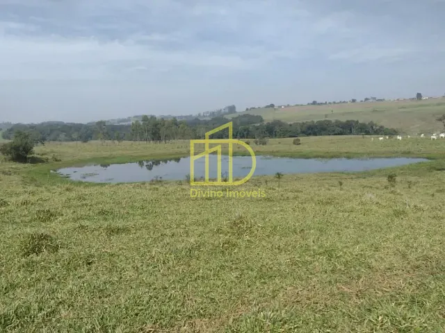 Sítio com 292457m², à venda, no bairro Vila São Gonçalo em Itapetininga