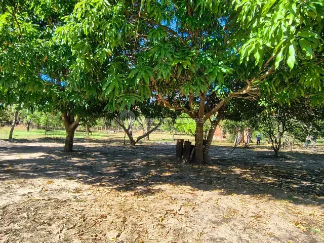 Sítio com 70000m² 2 quartos e 2 banheiros, à venda, no bairro Zona Rural em Timon
