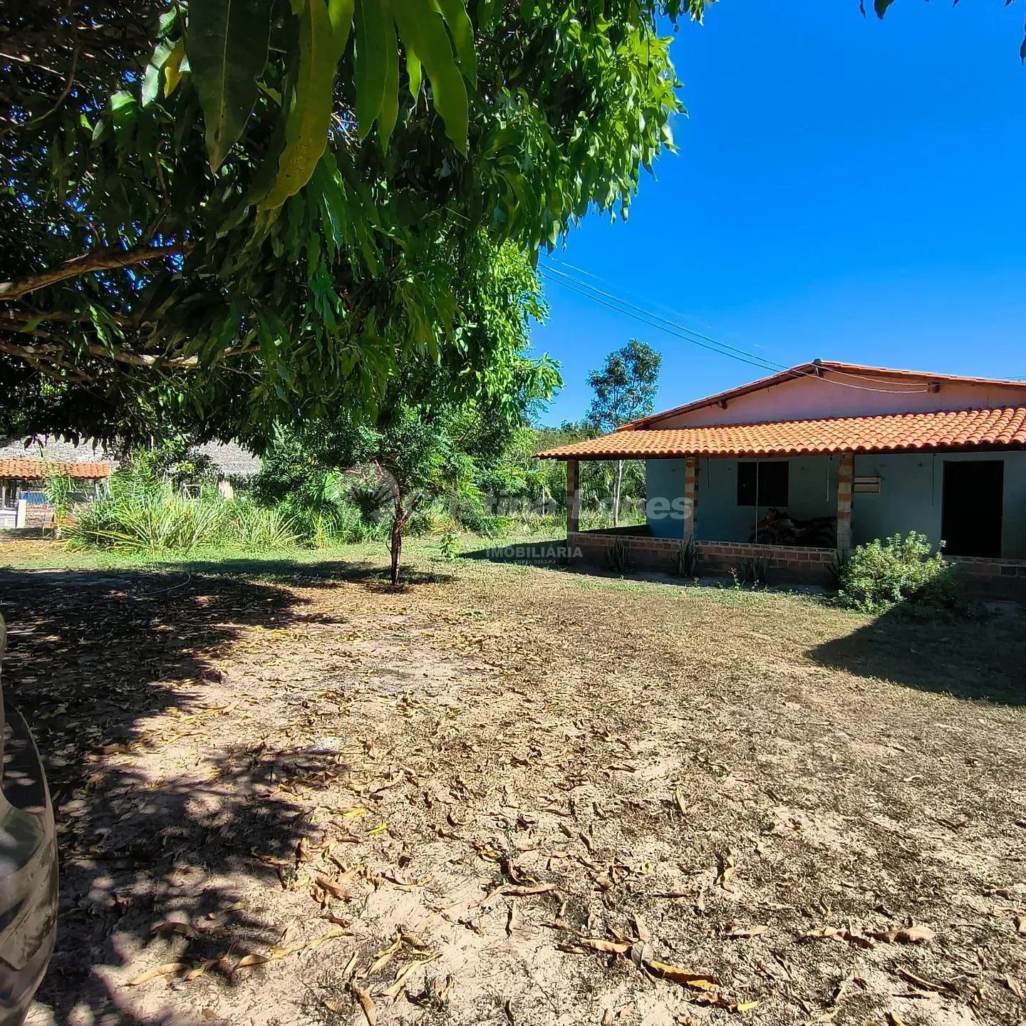Fazenda, 7 hectares - Foto 4