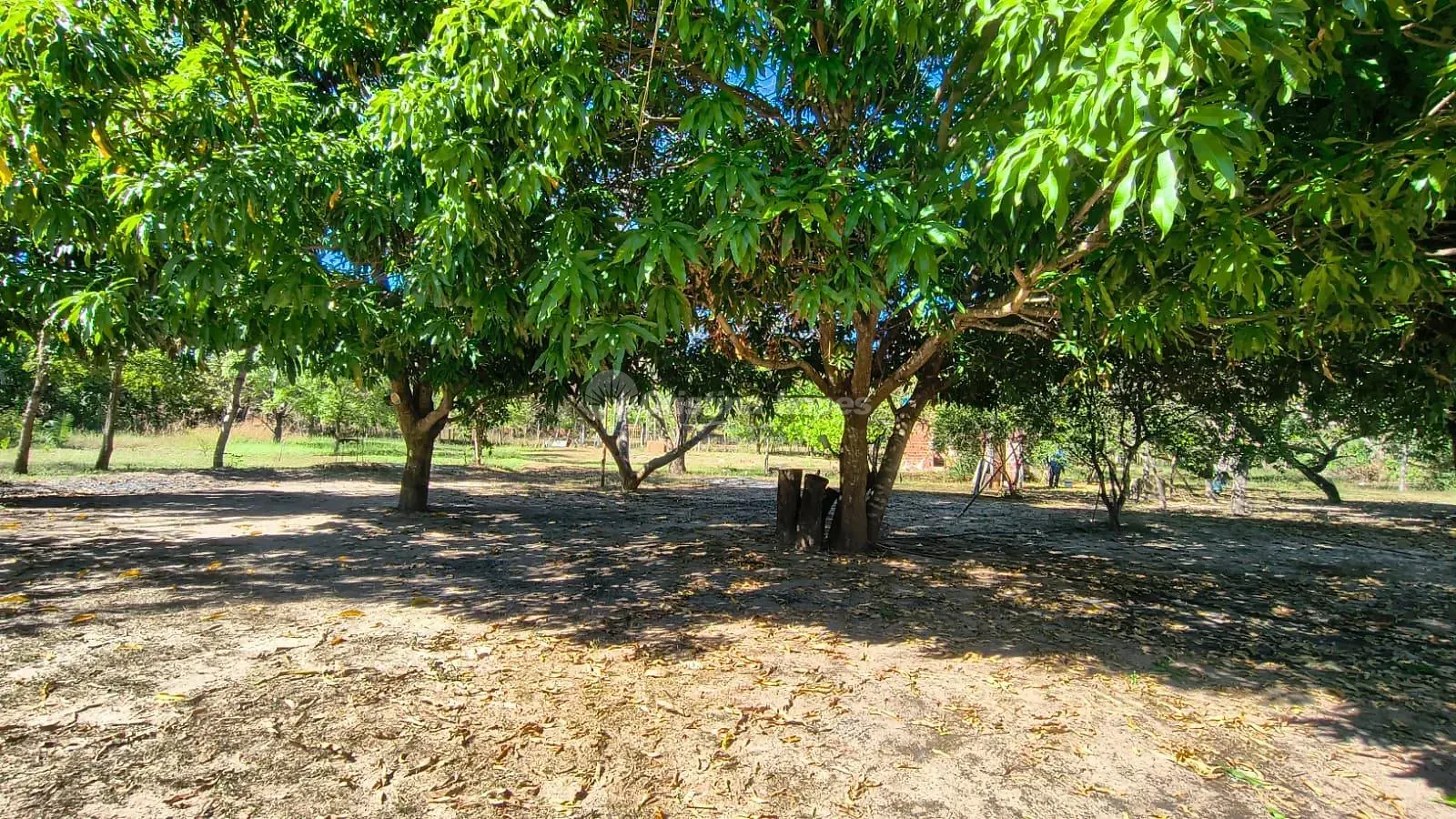 Fazenda, 7 hectares - Foto 3