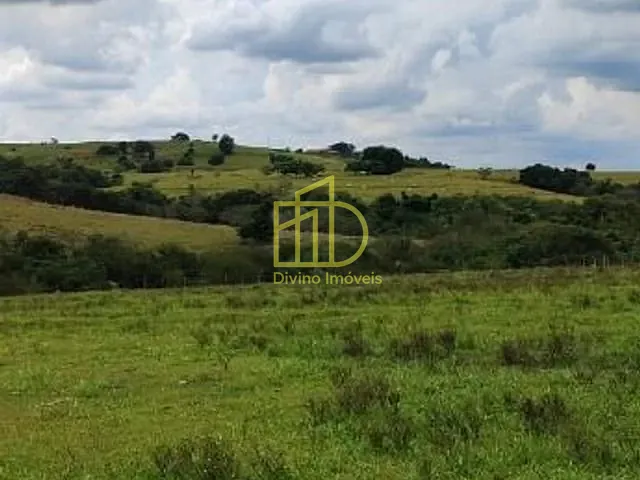 Sítio com 220000m², à venda, no bairro Vila Mazzei em Itapetininga