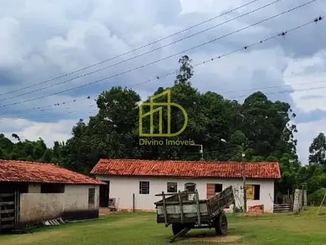 Sítio com 220000m², à venda, no bairro Vila Mazzei em Itapetininga