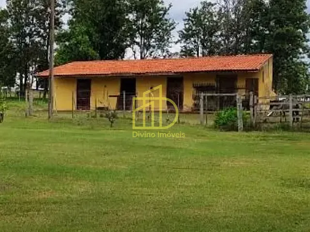 Sítio com 220000m², à venda, no bairro Vila Mazzei em Itapetininga