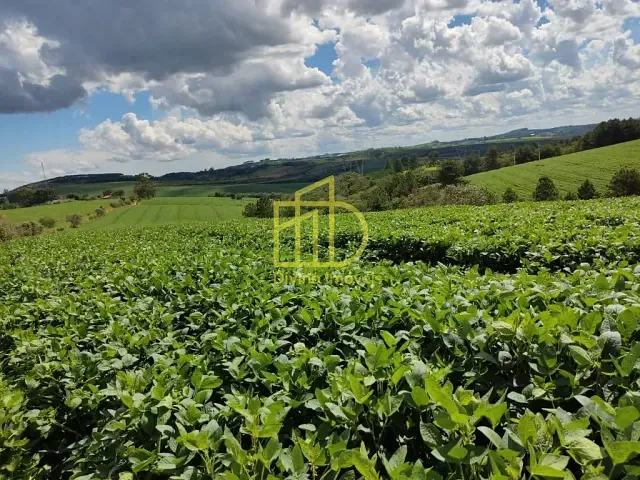 Sítio com 726000m², à venda, no bairro Serra dos Touros em São Miguel Arcanjo