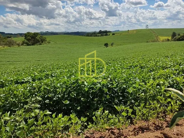 Sítio com 726000m², à venda, no bairro Serra dos Touros em São Miguel Arcanjo