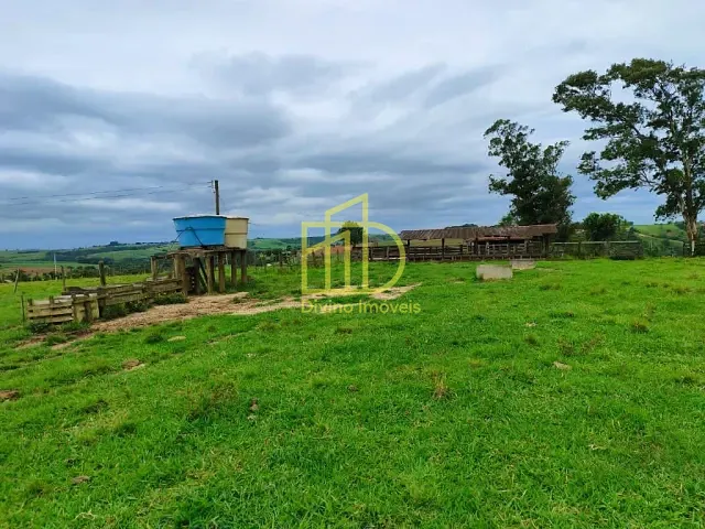 Sítio com 250228m², à venda, no bairro Vila São Gonçalo em Itapetininga