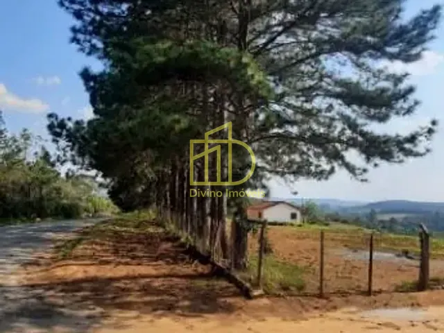 Sítio com 135520m², à venda, no bairro Douradinho em Piedade