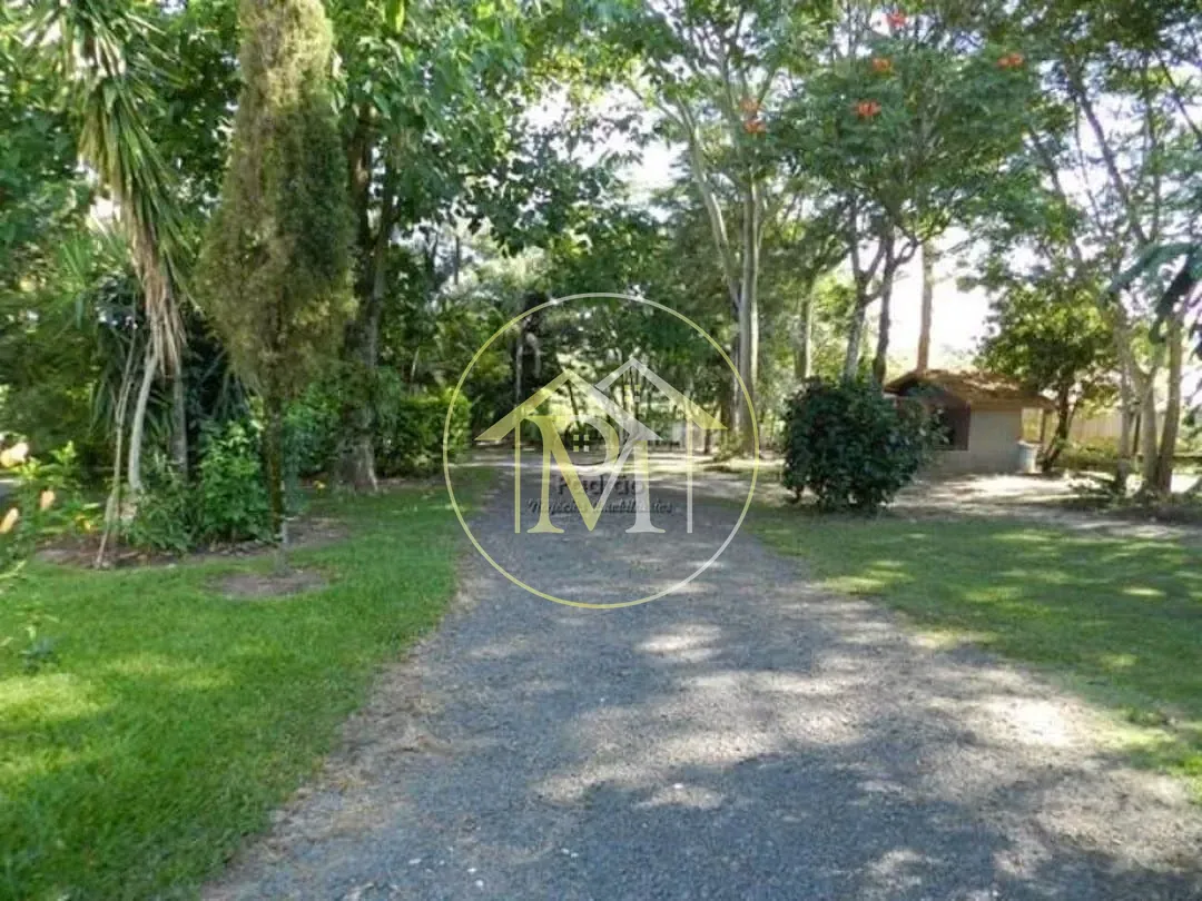 Sítio, 4 quartos, 4 hectares - Foto 11