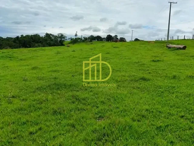 Sítio com 428340m², à venda, no bairro Vila São Gonçalo em Itapetininga