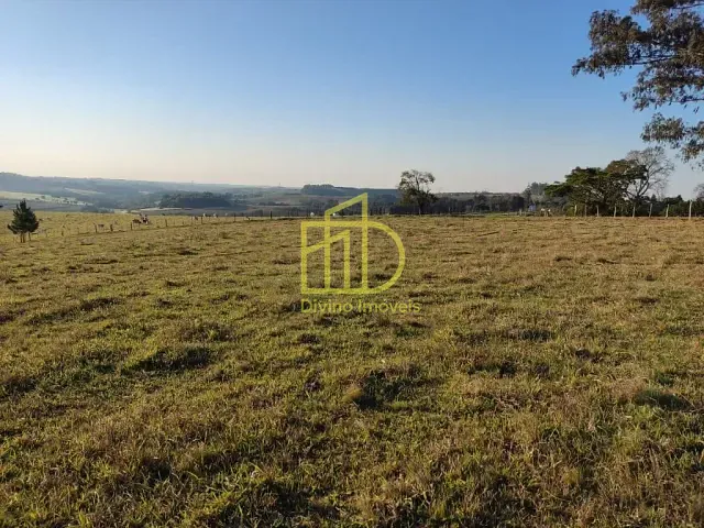 Sítio com 428340m², à venda, no bairro Vila São Gonçalo em Itapetininga