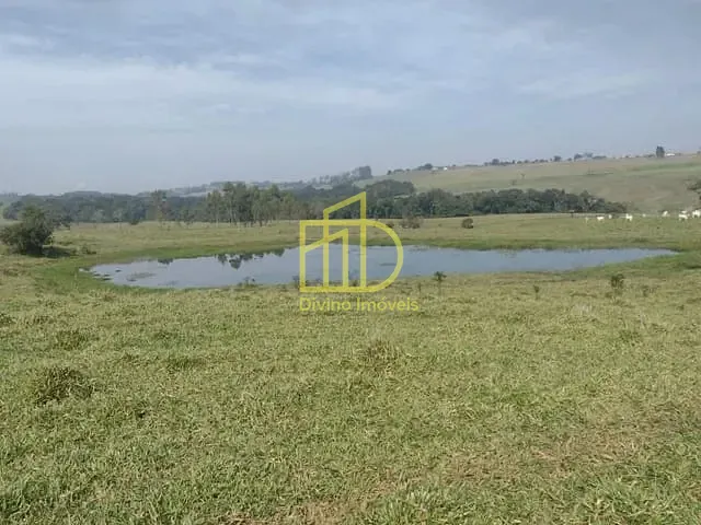 Sítio com 302500m², à venda, no bairro Área Rural em Itapetininga