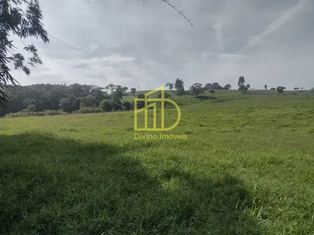 Sítio com 302500m², à venda, no bairro Área Rural em Itapetininga
