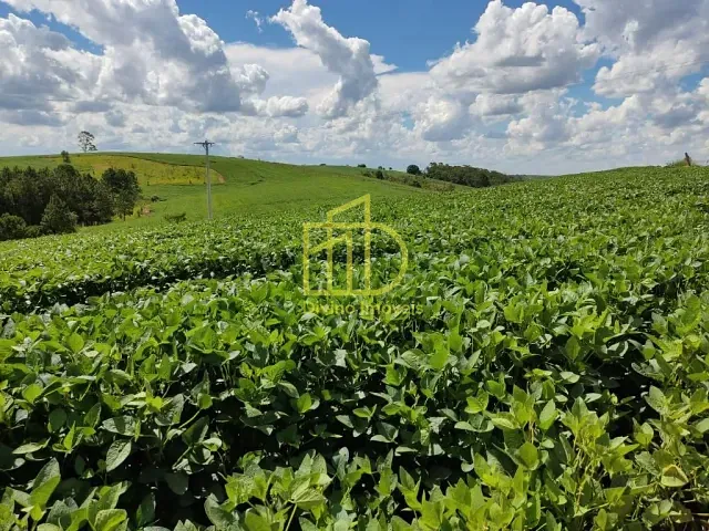 Sítio com 726000m², à venda, no bairro Vila Sao Joao em São Miguel Arcanjo