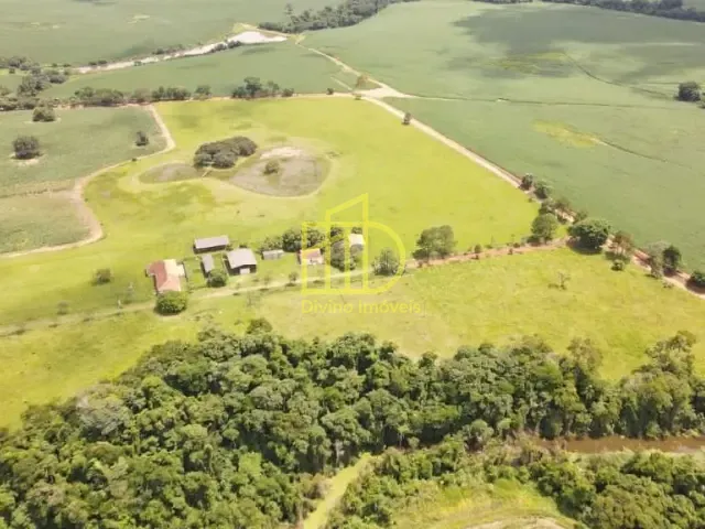 Sítio com 629200m², à venda, no bairro Área Rural em Itapetininga