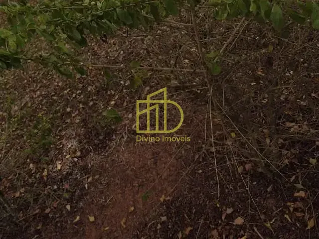 Sítio com 290400m², à venda, no bairro Floresta em Guareí
