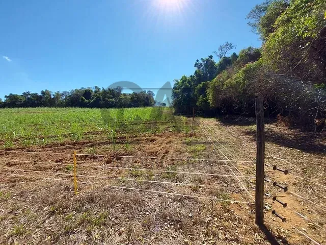 Sítio com 100762m², à venda, no bairro Área Rural em Santo Antônio de Posse