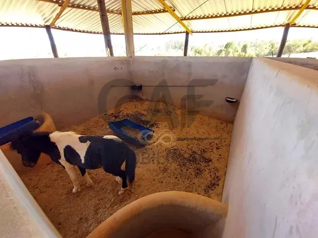 Sítio com 100762m², à venda, no bairro Área Rural em Santo Antônio de Posse