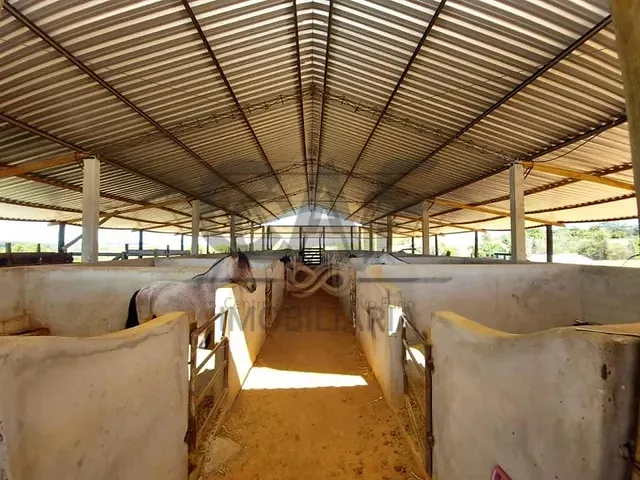 Sítio com 100762m², à venda, no bairro Área Rural em Santo Antônio de Posse