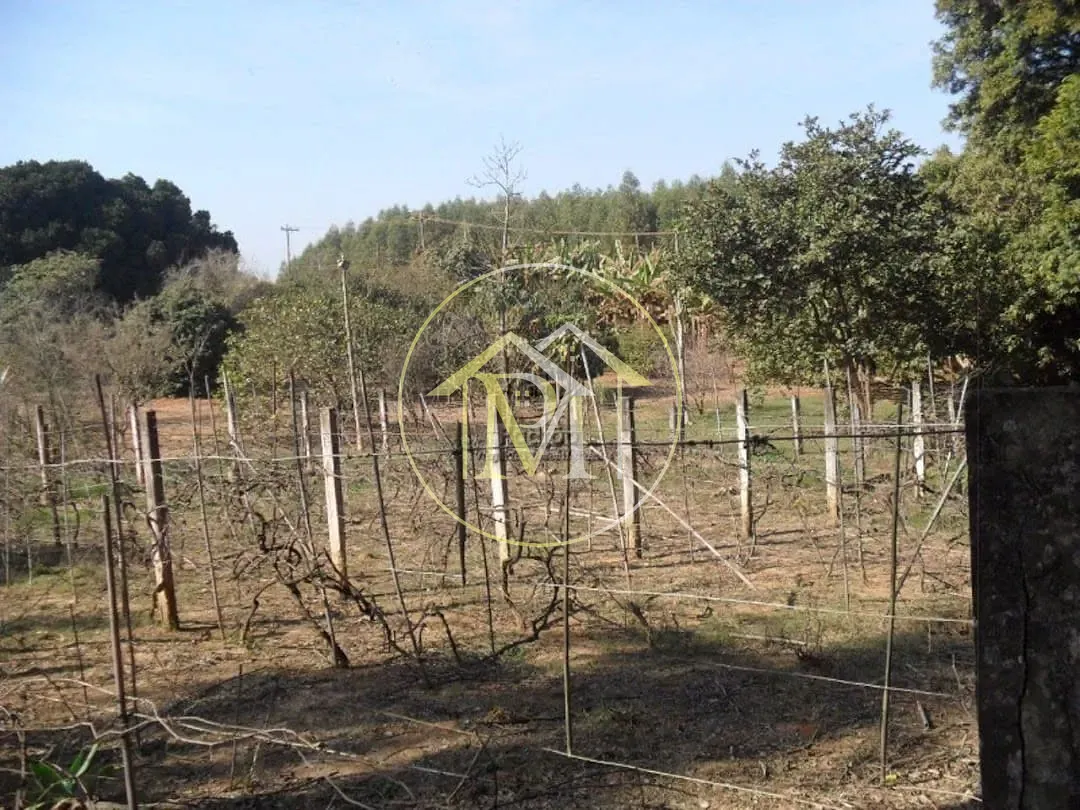 Sítio, 5 quartos, 3 hectares - Foto 23