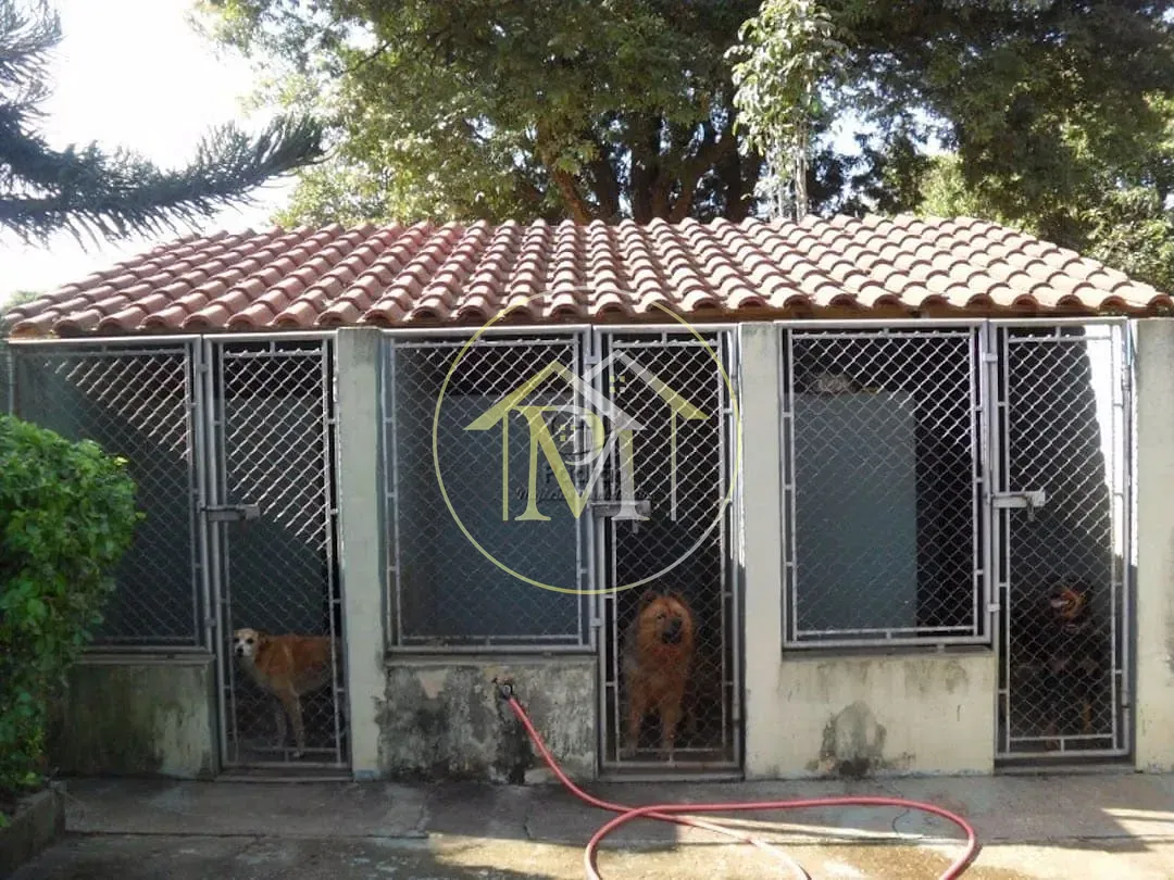 Sítio, 5 quartos, 3 hectares - Foto 24