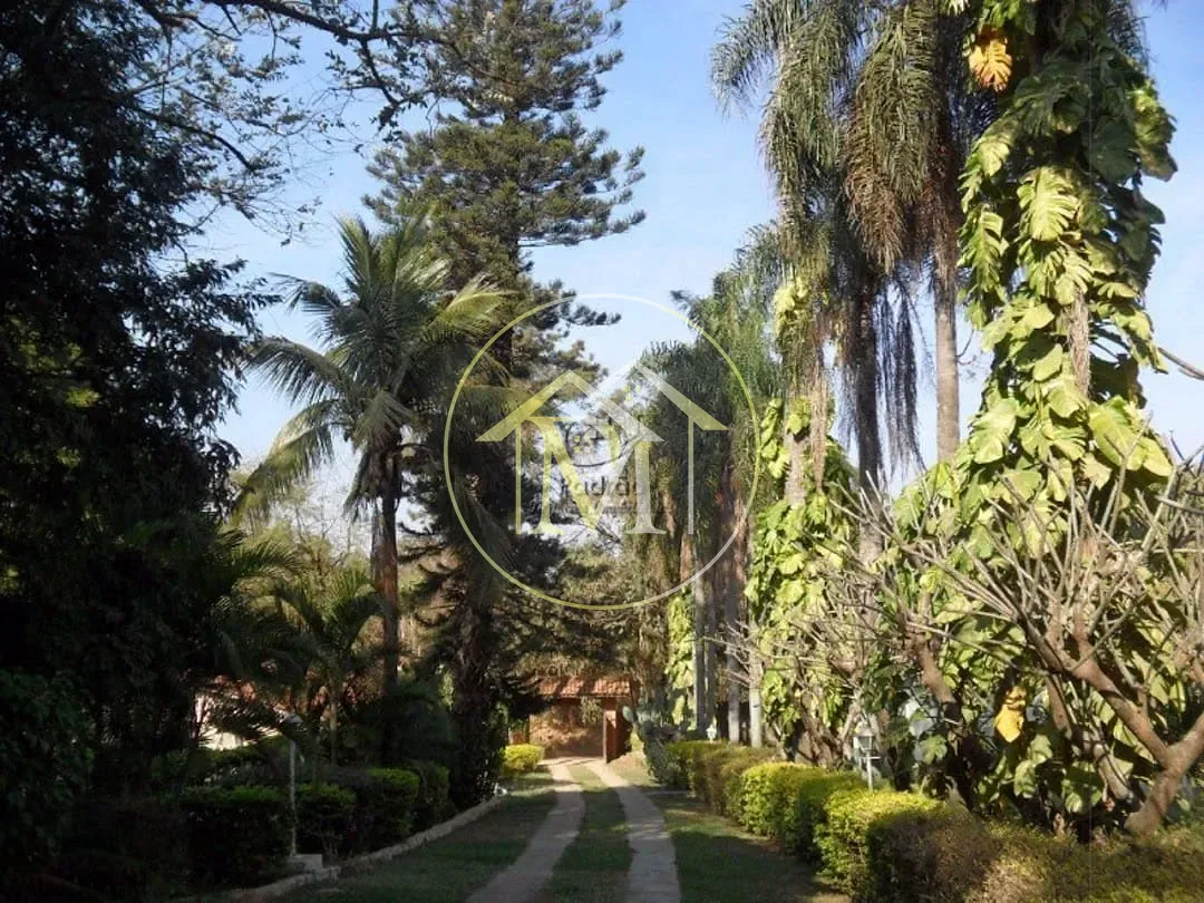 Sítio, 5 quartos, 3 hectares - Foto 4