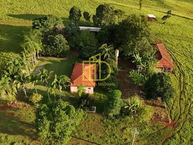 Sítio com 294998m², à venda, no bairro Área Rural de Itapetininga em Itapetininga