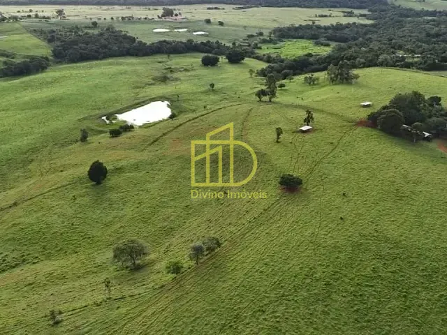 Sítio com 294998m², à venda, no bairro Área Rural de Itapetininga em Itapetininga